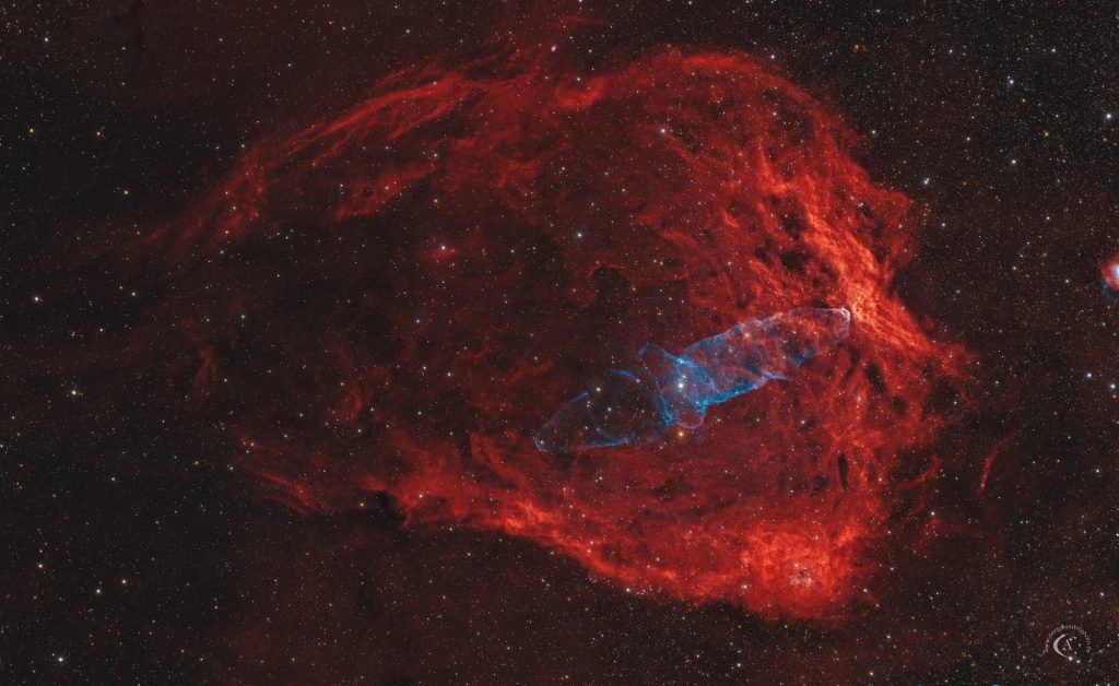Sh 2-129 und Ou 4 – Fliegende Fledermaus mit Tintenfischnebel