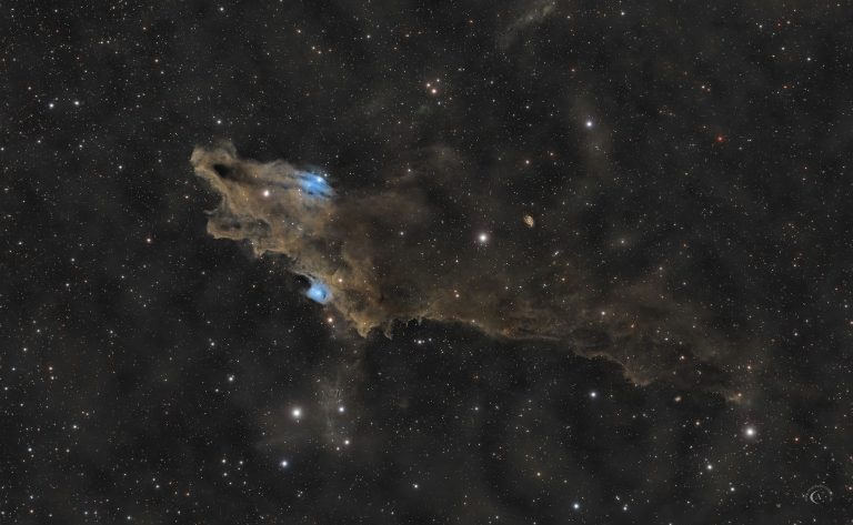 LRGB-Astrofotografie des Dunkelnebels LDN 1235, des Haifischnebels in Kepheus, mit dunklen Staubwolken sowie den blauen Reflexionsnebeln vdB 149 und vdB 150.