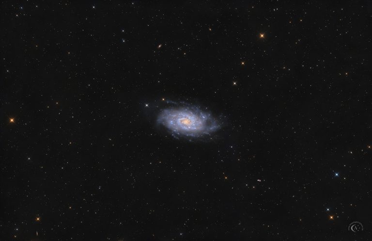 Aufnahme der Spiralgalaxie NGC 2403 mit lockeren Spiralarmen und mehreren rosafarbenen H-II-Gebieten in der Scheibe.