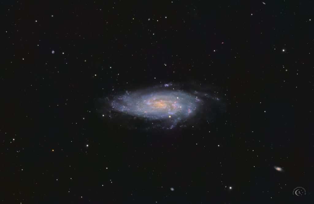 NGC 4559 – Koi-Fisch-Galaxie