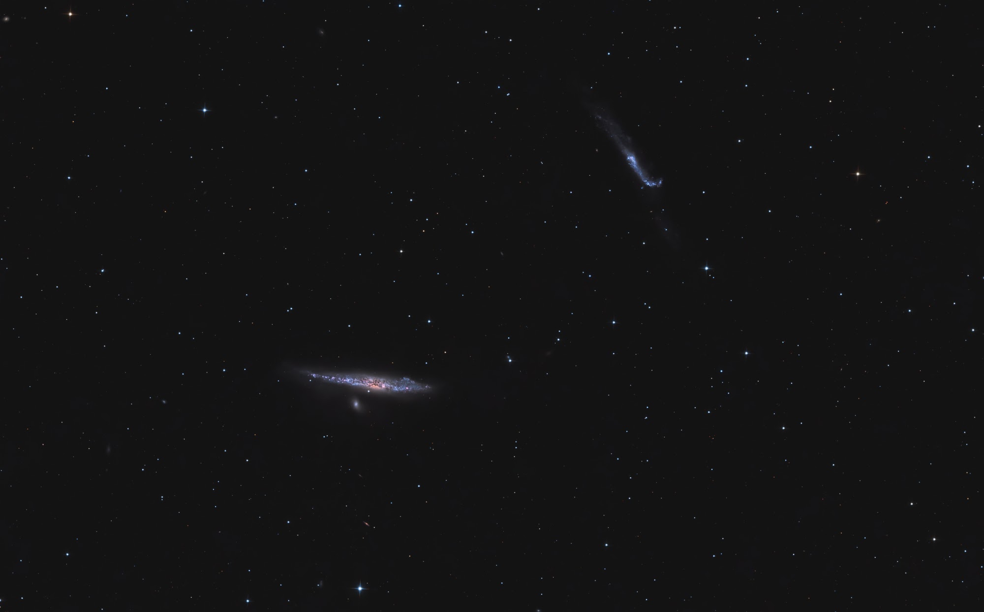 NGC 4631 – Walfischgalaxie und NGC 4656 – Brecheisen-Galaxie