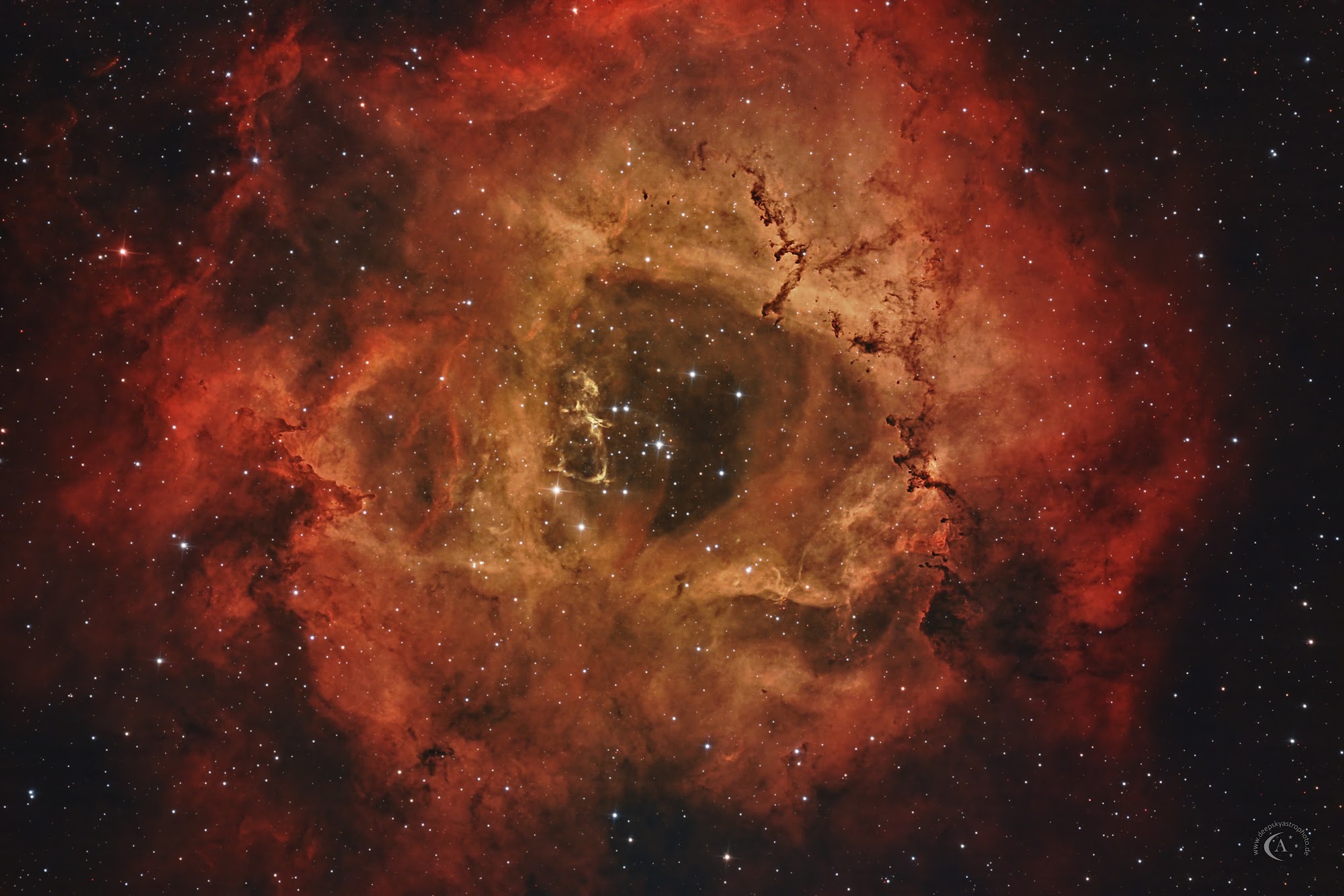 NGC 2237 – Rosettennebel