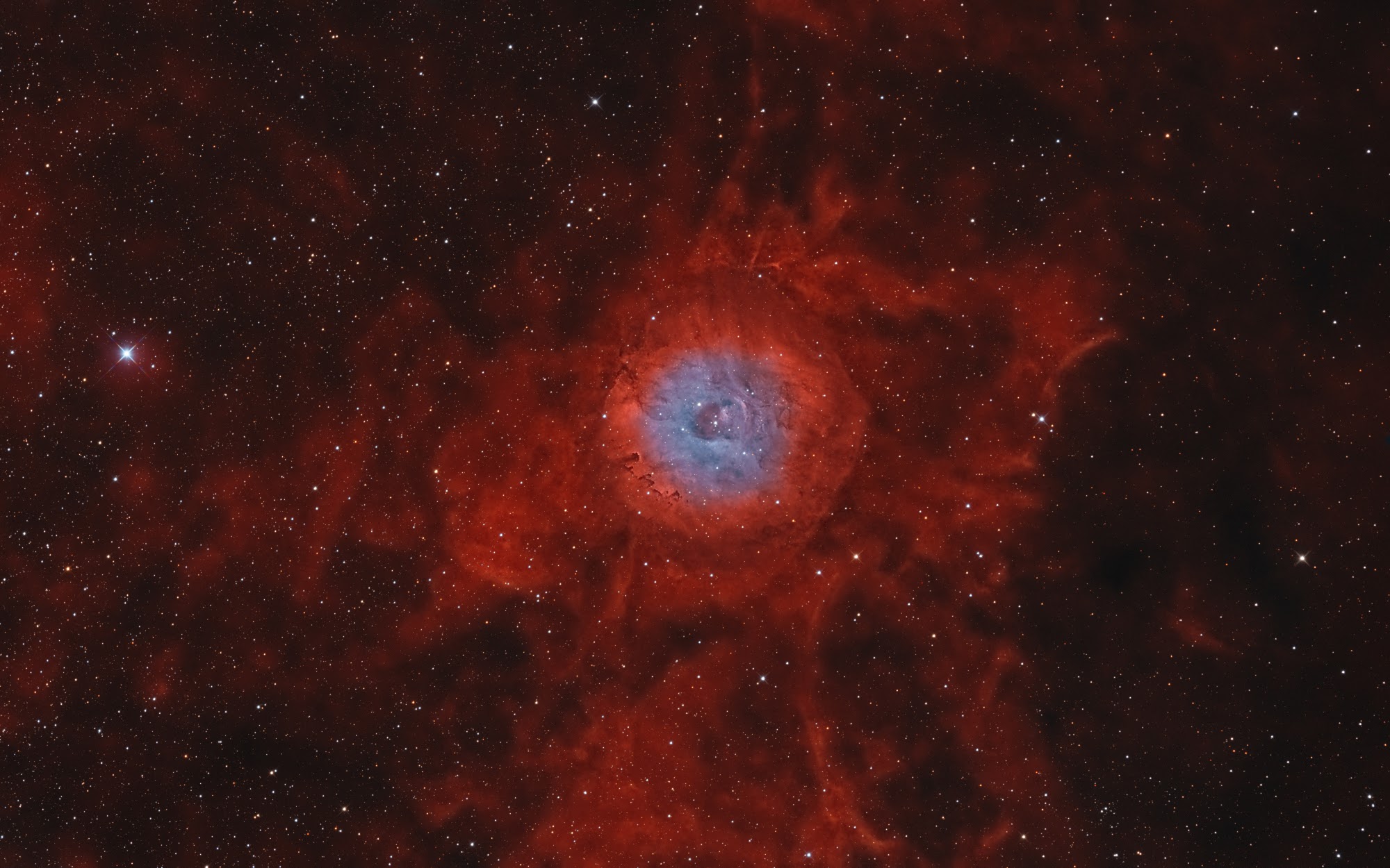 SH 2-170 – Kleiner Rosettennebel