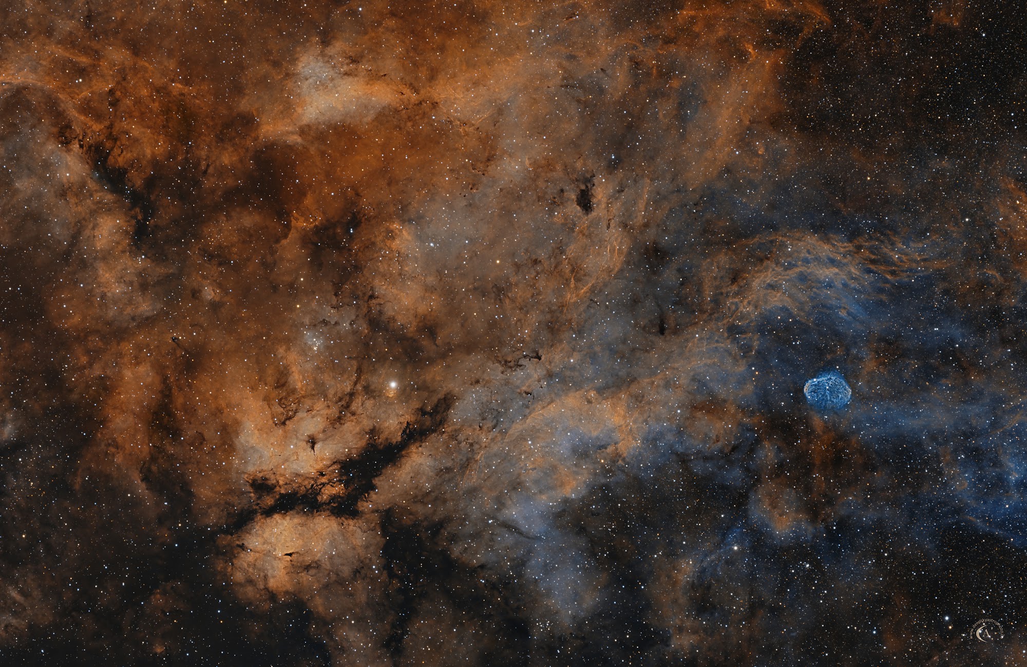 Schmetterlingsnebel IC 1318 und Mondsichelnebel NGC 6888 (Region Sadr)