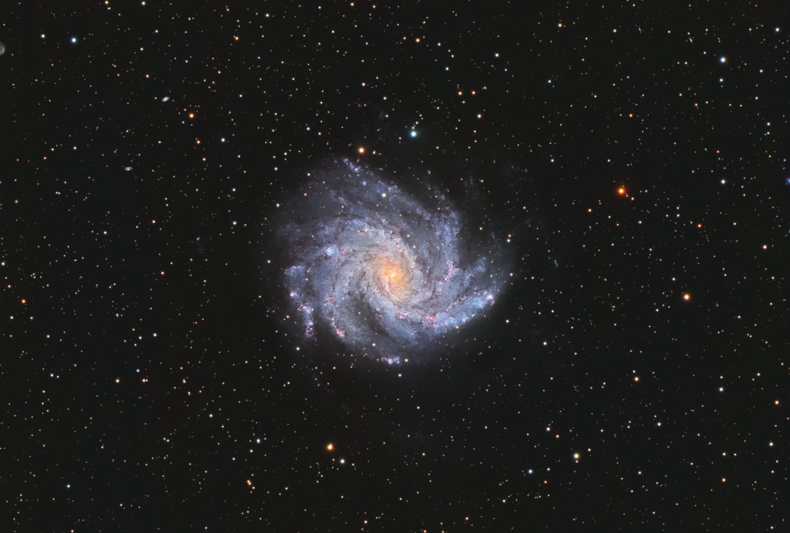 NGC 6946 - Feuerwerksgalaxie